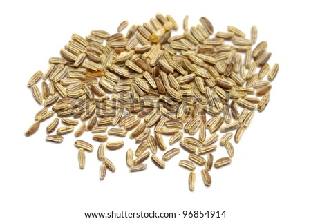 Chamomile Seeds Isolated On White Stock Photo 96854914 : Shutterstock