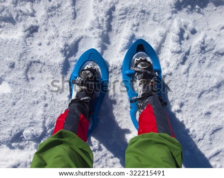 Feet in snowshoes on snow.