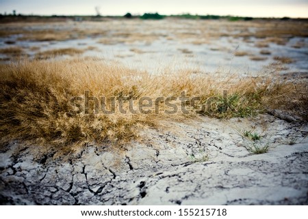 Dry cracked earth, clay desert texture