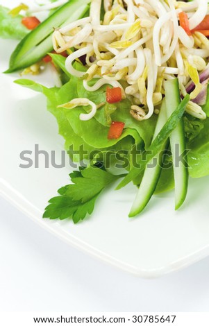 Fresh soya sprouts salad on the white