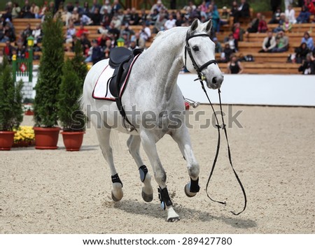 White threw a racehorse rider in the arena for show jumping and running on the camera