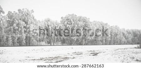 beautiful panorama with snow-covered trees and railway