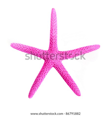Pink Starfish Isolated On White Background Pink Starfish Is Isolated On A White Background Stock
