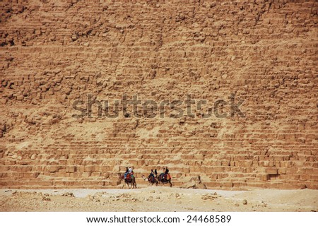 Camel walk on the foot of Pyramid (Giza, Egypt)