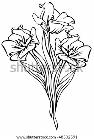 bouquets of tulips. stock vector : tulips bouquet