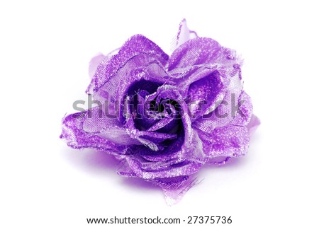 purple rose wallpaper. purple rose. attractive. beautiful