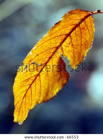 Frost Melting