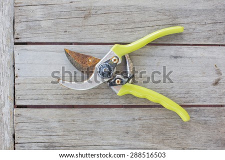 Scissors branches on wood background