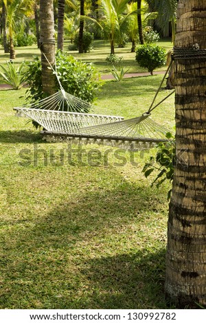 Tranquil summer garden area with white hammock and palm trees.
