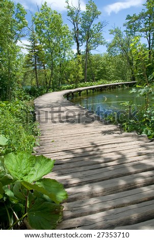 Wooden path over the lake.