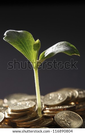 Little plant growing out of pile of coins