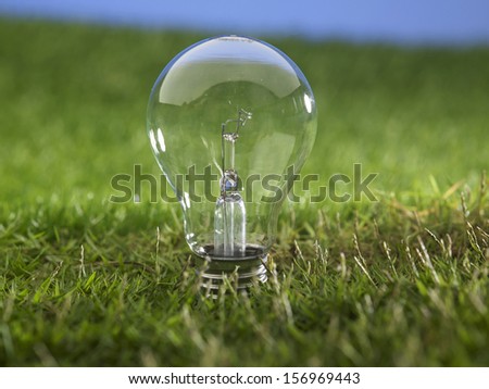 light bulb on the grass