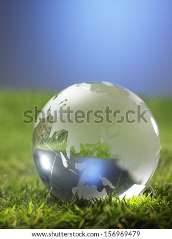 glass globe resting on the grass