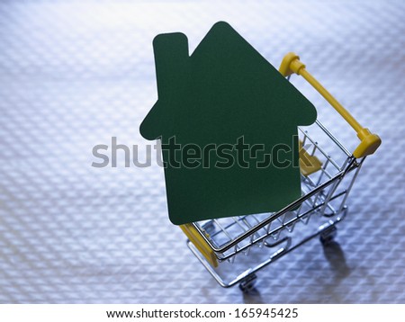 paper putting house shaped in the shopping cart