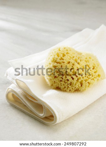 sponge and towel on the table