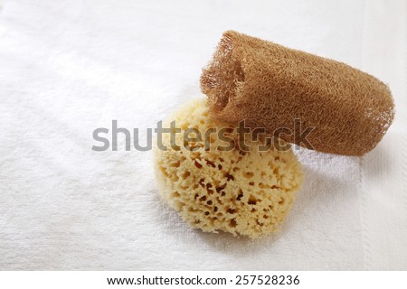 lufa sponge and sea sponge on towel