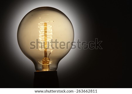 light bulb grow in the dark