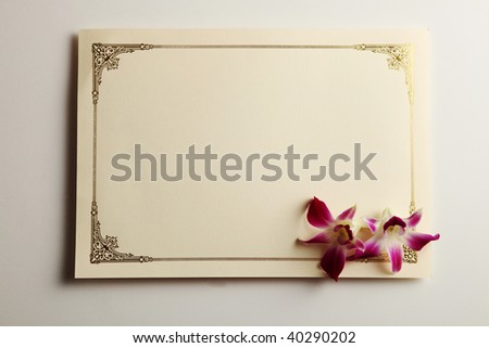 shot of a blank certificate on the plain background
