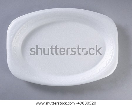 A disposable styrofoam plate.