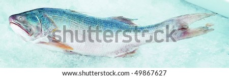 Kurau Fish