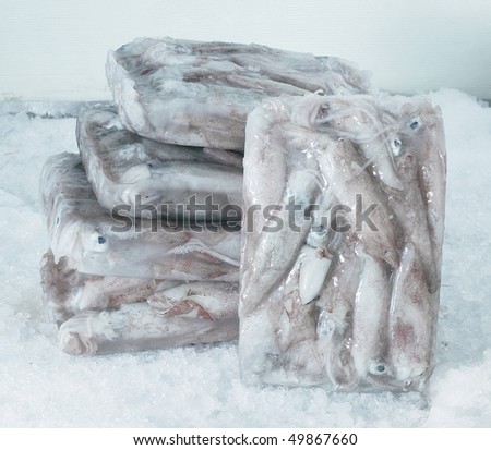 Ice blocks of squids.