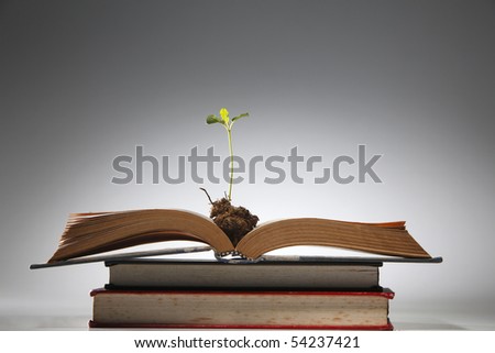 young plant growing from the book