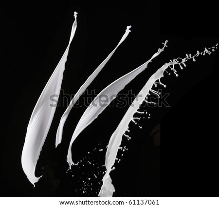 stock image of the milk splash