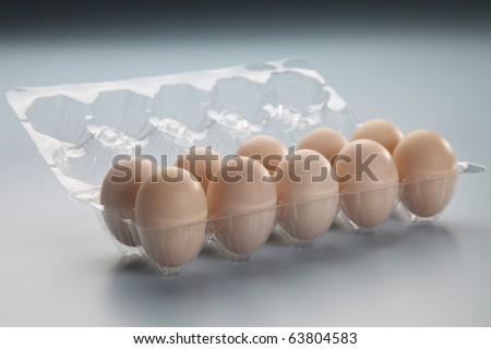 dozen of the egg at the plastic tray