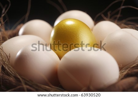 nest of egg with one golden egg