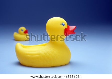 Rubber yellow duck isolated on coloured background.