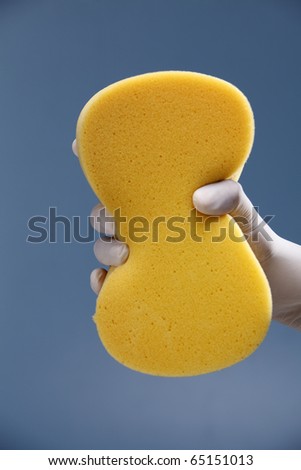 Hand with white protective rubber glove holding a yellow sponge.