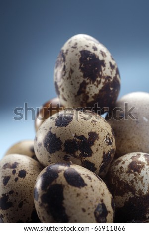 Stack of quail eggs isolated on the blue background.