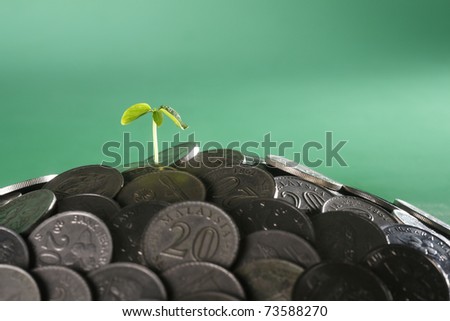 small plant growing from the heap of coin