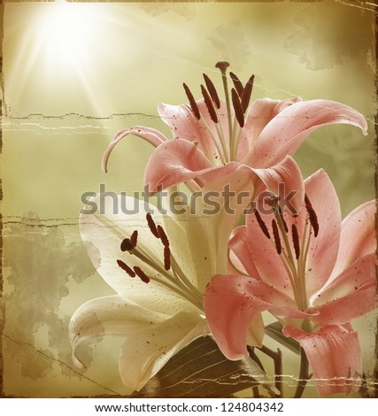 Grunge Flowers. Pink and Yellow Lilies in the Morning Sunshine