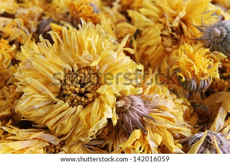Macro of Yellow Chrysanthemum Flower Tea