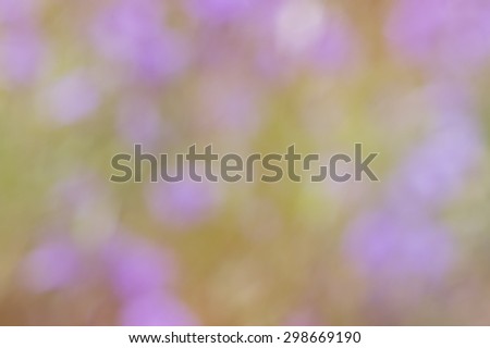 Abstract De-focused purple flowers blurred background