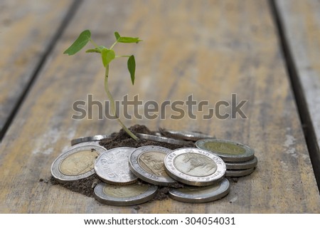 plant and coin