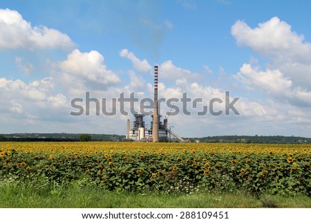 Sunflower and factory