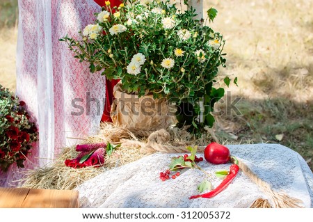 Arch for outdoor registration. Wedding decor of ornament.