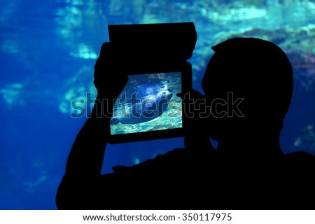 Photographing a manatee aquarium.\
Silhouette of a man shooting a manatee with a tablet aquarium