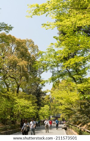 KYOTO, JAPAN - APRIL 25 : There are trees next to the walkway in Kinkakuji in Kyoto, Japan on 25th April 2014.