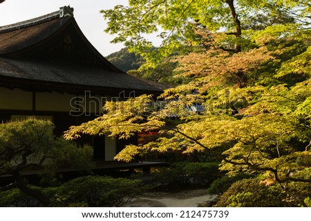 Green maple trees and Japanese-style house in the Japanese garden  of Ginkakuji Temple.