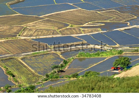 It is a beautiful green and blue rice farm.