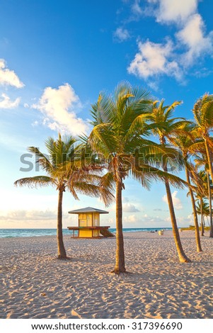 Palm trees and lifeguard house on a beautiful sunny summer afternoon in Hollywood Beach near Miami Florida with ocean and blue sky in the background