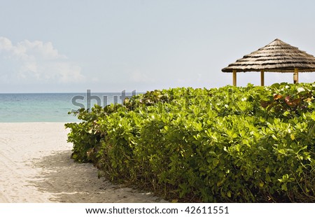 Pathway to the beach with ocean background in Miami Beach. Shallow depth of field.