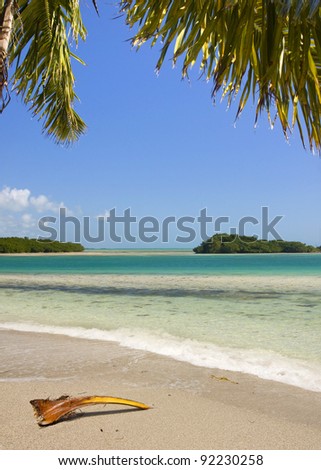 Beautiful Summer landscape with palm trees, blue sky and clear ocean water. Taken in tropical paradise of Bahia Honda Key in Florida, USA.