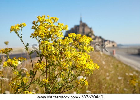 Flowers in the foreground.  Silhouette of a medieval fortress in the background. Seacoast .  Cloudless blue sky. Flowers on the background of the historical sights.   Morning hours .