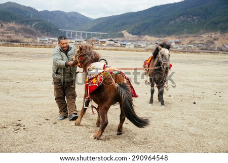 Shangri-La,China - March 28, 2015 : A man tries to calm down his horse which refuses to obey.