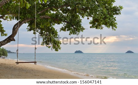 Rope swing on a mangrove tree on a beach at sunset sky background, the rays of the sun from behind the clouds