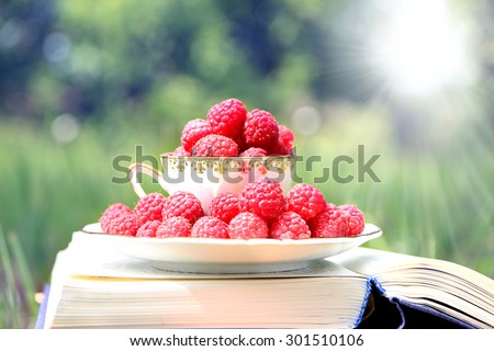 Book on green grass. A cup of raspberry on white plate standing on the open book. Harvest of raspberry